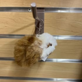 Farm Visit at Big River Alpacas & Keychain item