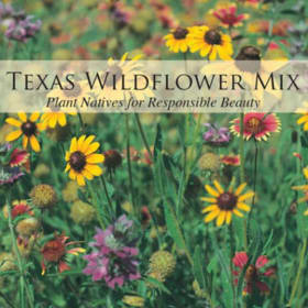 Texas Native Wildflower Mix, 4 Inch item
