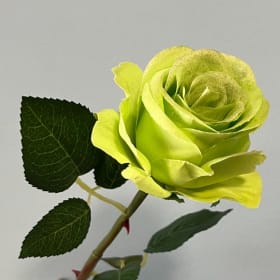 Green Silk Rose item