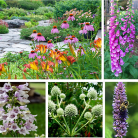 Purple and White Pollinator Garden item