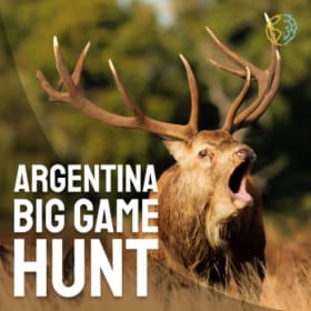 Argentina Big Game Hunt item