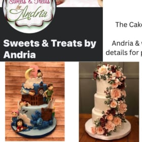 🎉 Auction Spotlight: The Cake That’s Not a Cake! 🎉 item