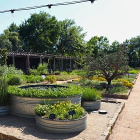 Family Membership to Lady Bird Johnson Wildflower Center item