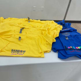 T-shirt item