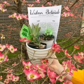 Spruce Up Your Coffee Table Basket item