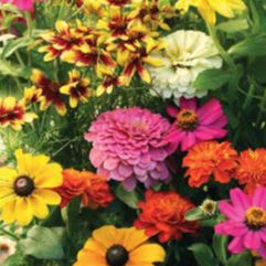 Butterfly Garden Flower Mat item