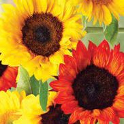 Sunflower Flower Mat item