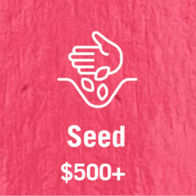 Seed Sponsor item