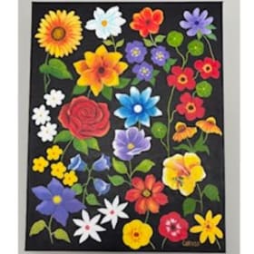 25 Anibal Andy Collazo item