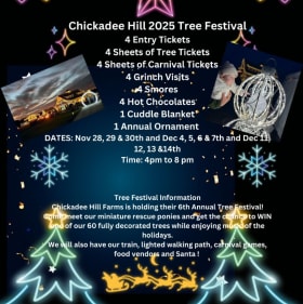6th Annual Chickadee Hill Farms Tree Festival item