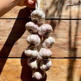 Roaming Roots Farm - $30 Braid of Garlic item