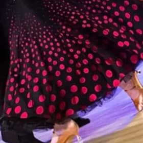 Introductory Ballroom Dance Lesson item
