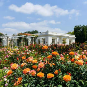 Two Admission passes to The Huntington Gardens item
