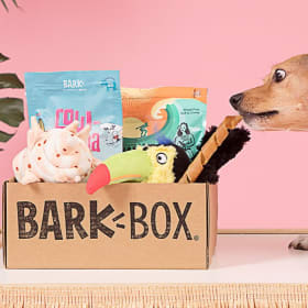 BARK BOX! Gift Certificate item