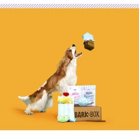 BARK BOX! Gift Certificate item