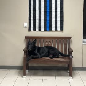 Blaze K9 Plushie item