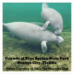 Magnet LG 2 Manatee item