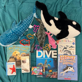 25. 🌊 Sea Life Adventure Set item