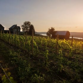 New York States Finger Lakes item