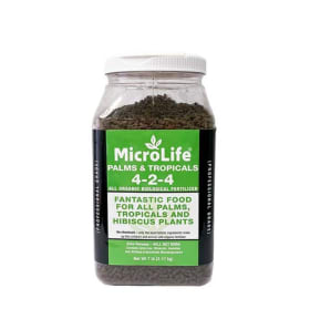 MicroLife Palm & Tropical Fertilizer- 7 pound jug item