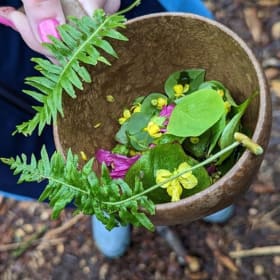 Plant Walk and Forest Tea Party with Teacher Becky item