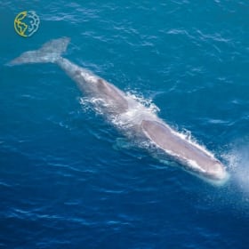 Luxury New Zealand Ocean Vacation for 4N! item