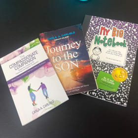 Carla Carlisle Book Bundle #1 item
