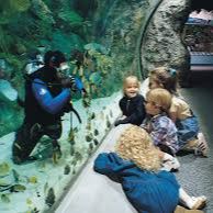 Aquarium of the Pacific (Long Beach, CA) item