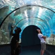 Seaside Sweets ($125 Value) item