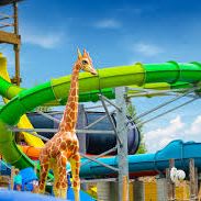 Wet & Wild ($150 Value) item