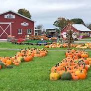 Keep Kids Moving ($150 Value) item