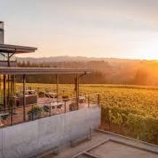 Stoller, Ponzi Wine Tasting item