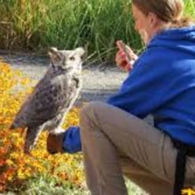 Animal Encounters and Schwag Basket ($347 Retail Value) item