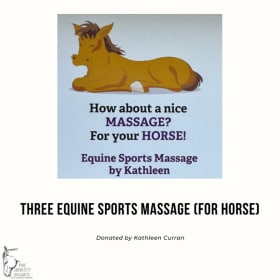 Three Equine Massages item