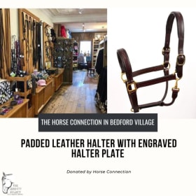 Padded Leather Halter with Engraving item