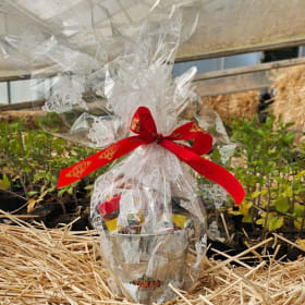 Texas Roadhouse Peanut Bucket Gift Package item