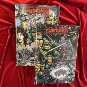 79. Teenage Mutant Ninja Turtles Books item