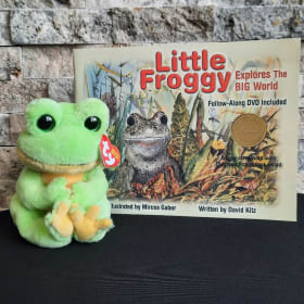 SOLD Froggy Explores the World & TY Frog item
