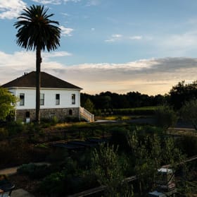 Lot 8: Private Lunch & Tasting at Favia Wines for 3 Couples item