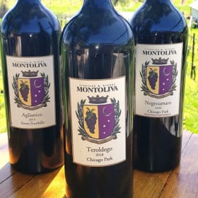 Magnum - Aglianico 2019 item