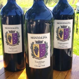 Magnum - Teroldego 2018 item