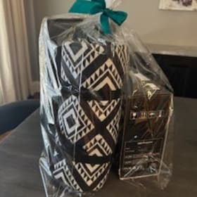 Backyard Movie NIght item