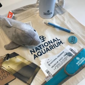 Under the Sea Adventure Package -includes 6 aquarium tickets item