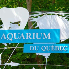 Aquarium de Québec 10/7/25 item