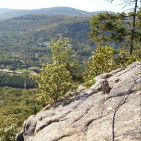 Mont Wright 11/7/25 item