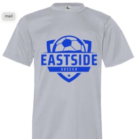 Adult T-Shirt Sizes item