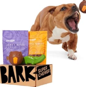 Bark Box for 1 Month item