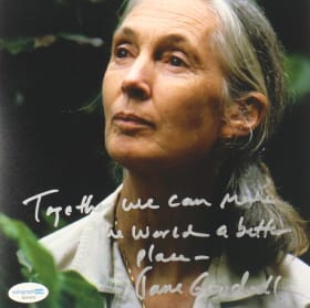Jane Goodall Hand Signed 8 X10 Photo!! item