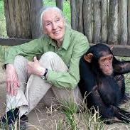 Benihana Gift Certificate! item