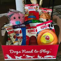 Kong Dog Mystery Box! item